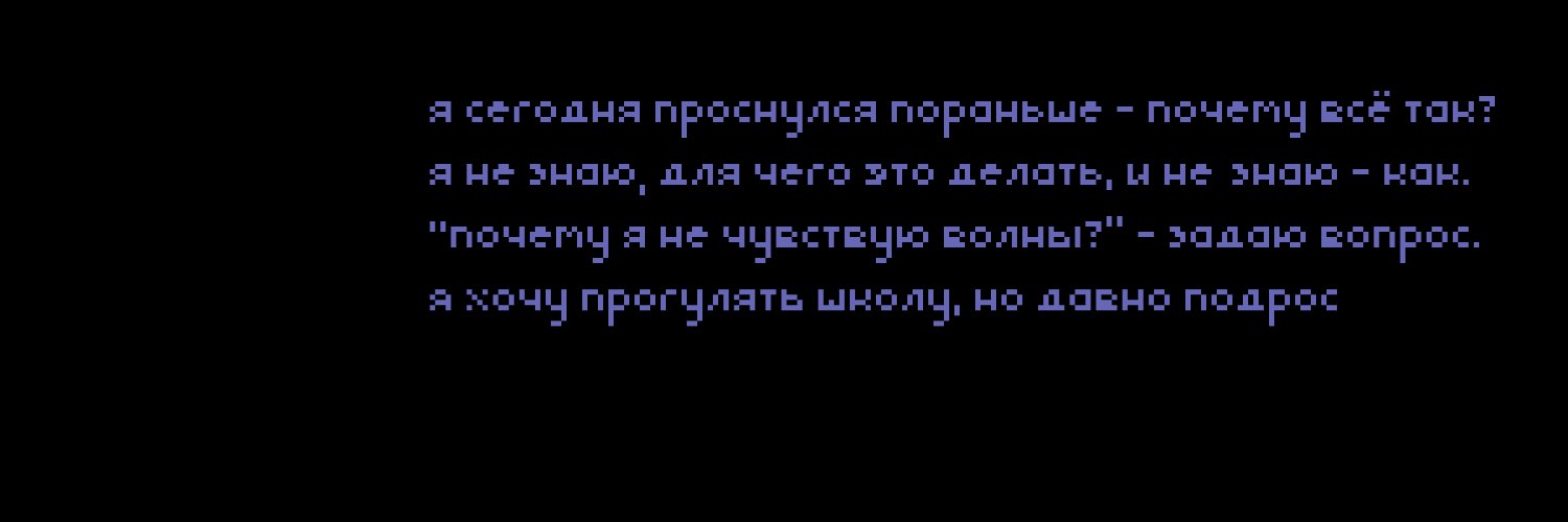 Pixel Ptushka banner