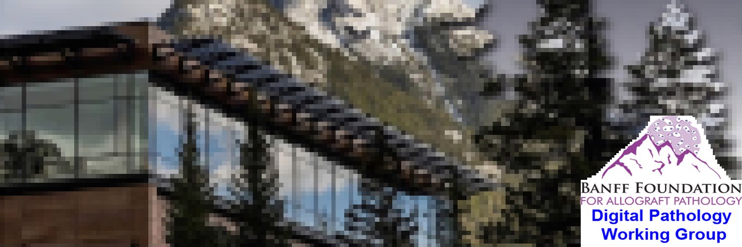 Banff Digital Pathology Working Group banner