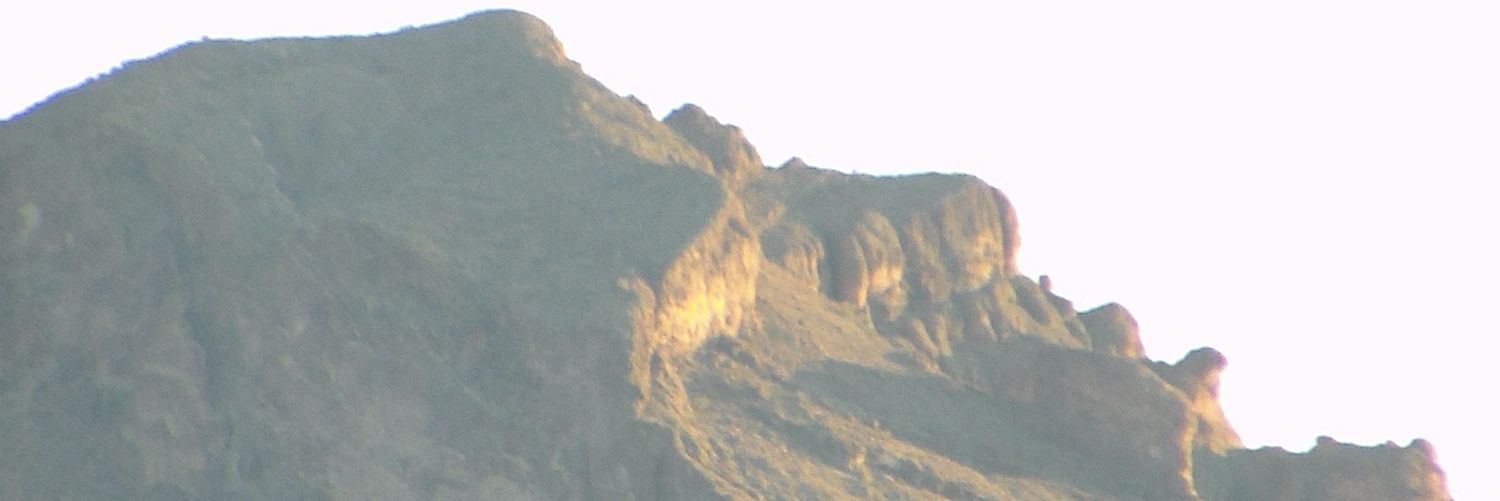 LesterLexxx's profile banner image