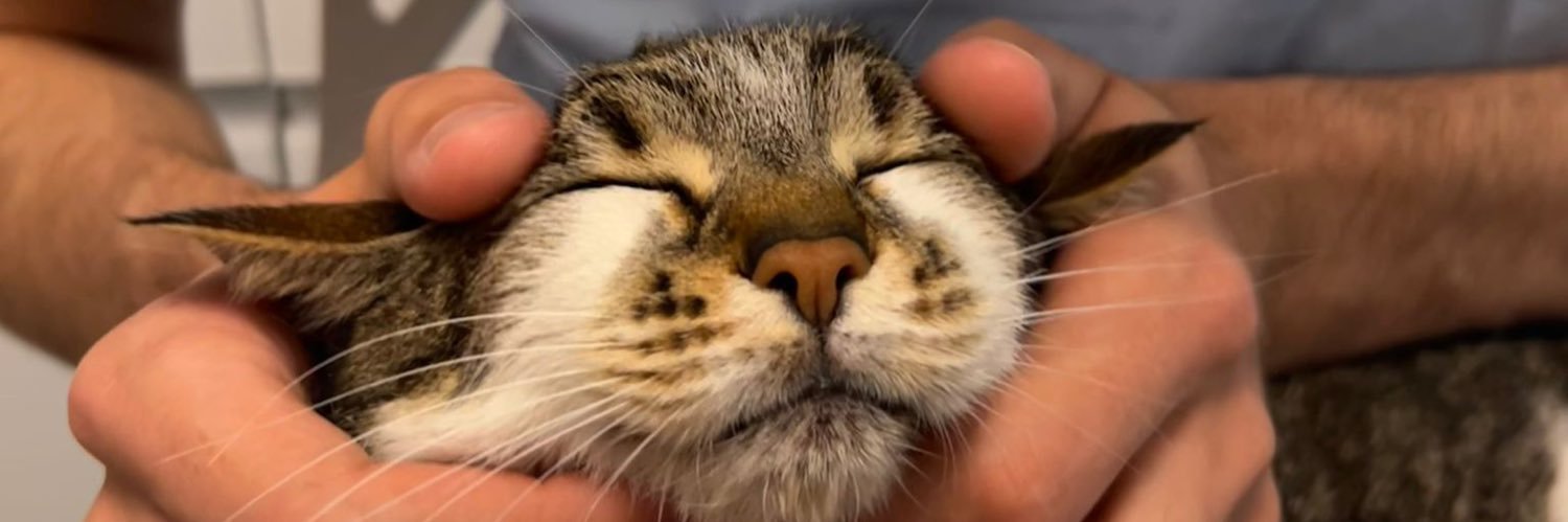 Doc.S◎L.Solero banner