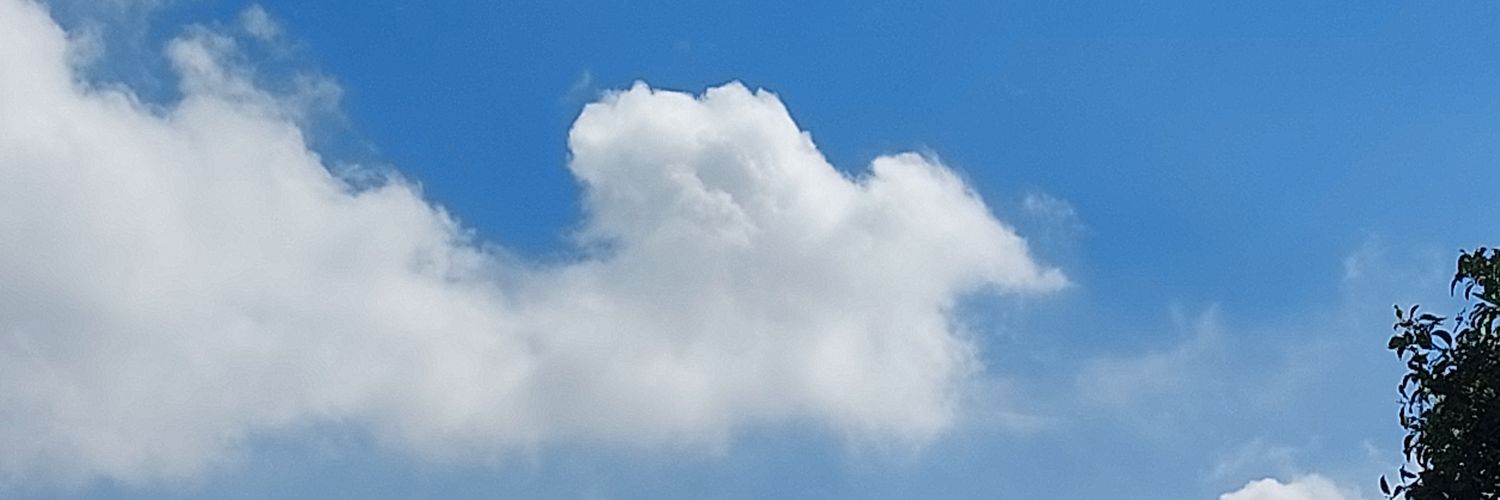 Peaceful_mairo's profile banner image