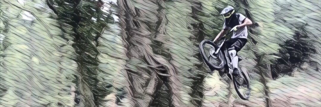 _woodchip's profile banner image