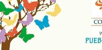 LiveToursTuxtla's profile banner image