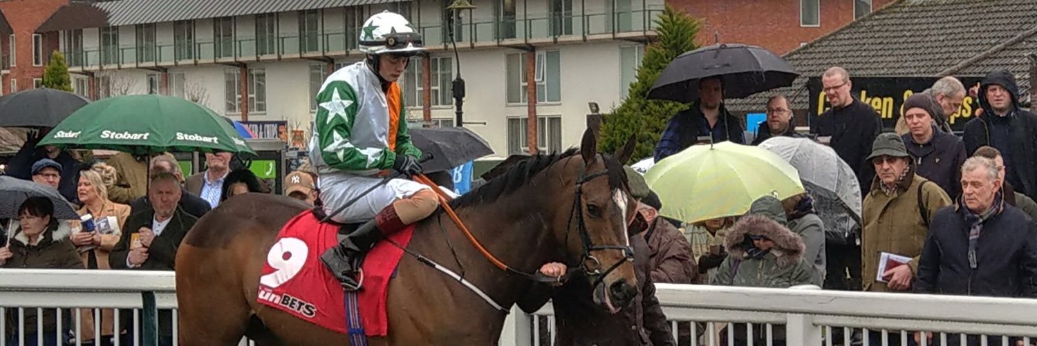 Stephen Thorne banner