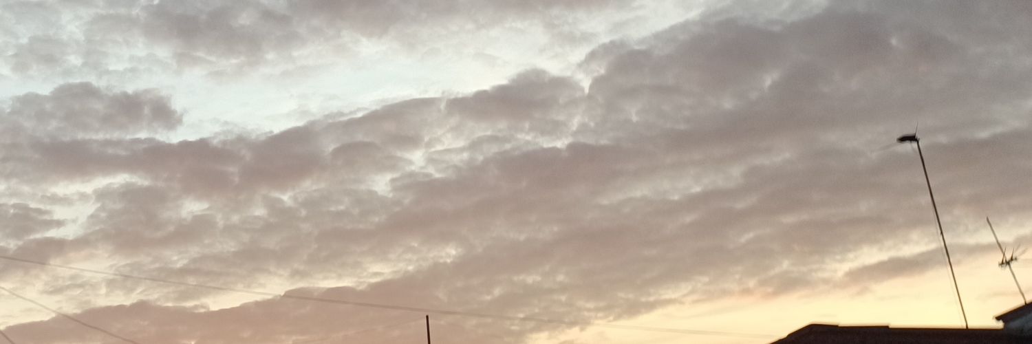 5ed banner