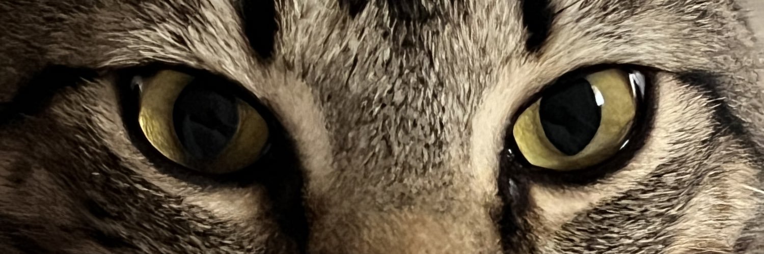 _iruahce's profile banner image