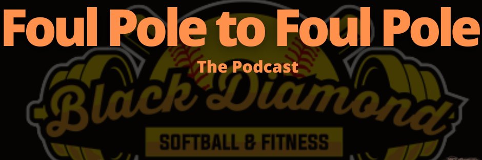 BlackDiamondSoftballFitness banner