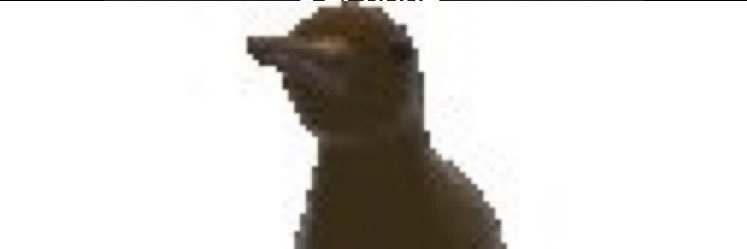 DiamondLD2's profile banner image