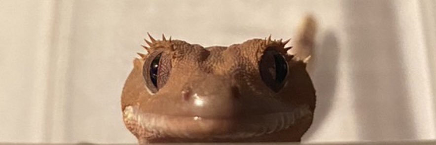 qp_ndk's profile banner image