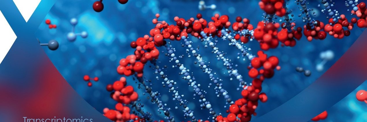 GenXPro GmbH 🇪🇺🇩🇪🇫🇷🇮🇹🇵🇹اَلْعَرَبِيَّ🇪🇸 banner