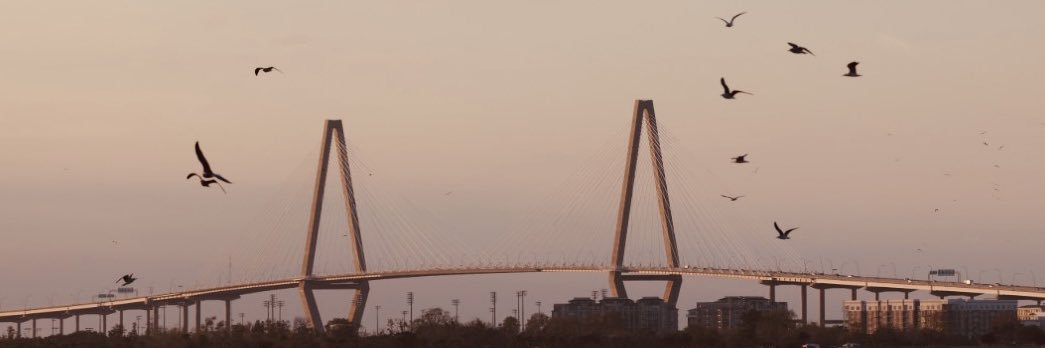 Chris_Harper_📸 banner