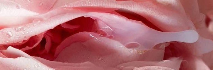 yourstruly602's profile banner image