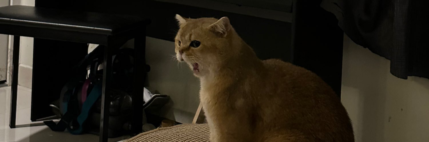 Tunad 👹 (mainnet arc) banner