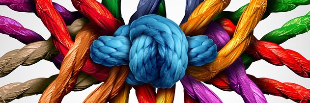 Lucila Berniell banner