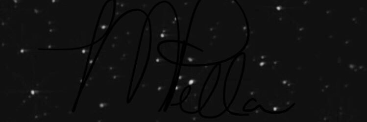AmazoniaMP's profile banner image