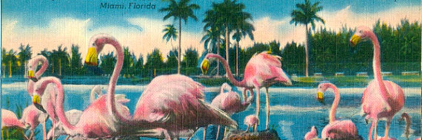 Sean Drake banner