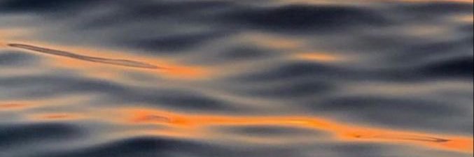 withzese's profile banner image