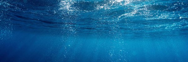 WaterNeuron Profile Banner