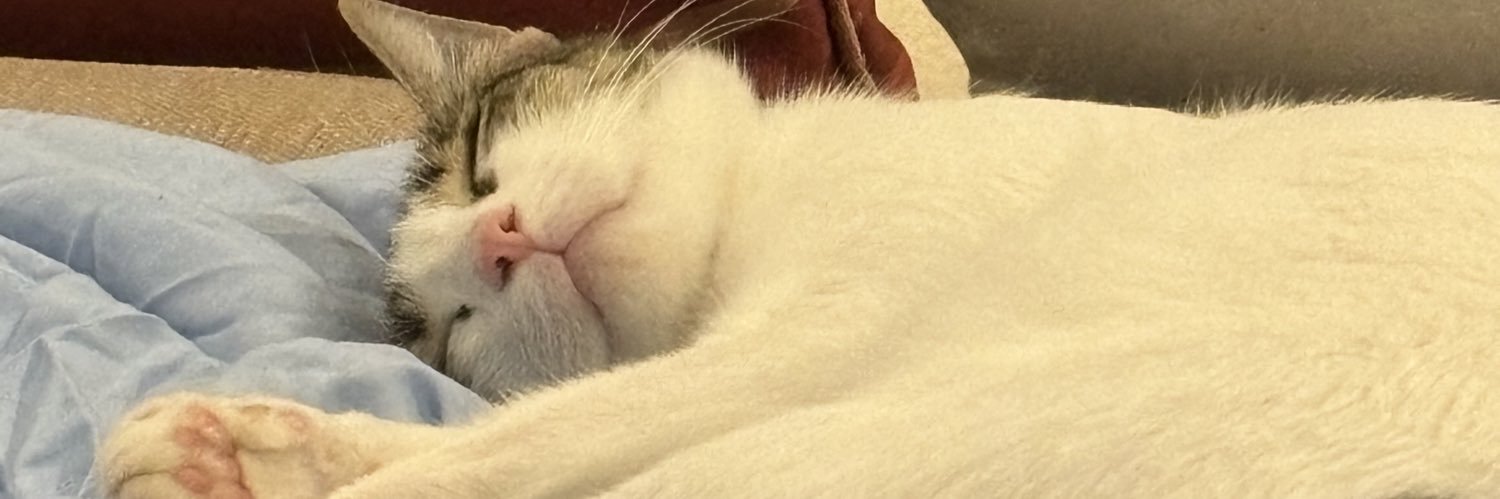 ninabiscuit's profile banner image