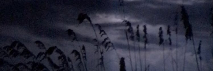 bfelderjax's profile banner image