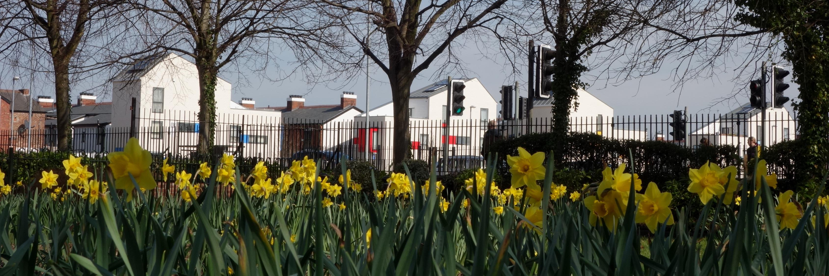 mosssidearchive's profile banner image