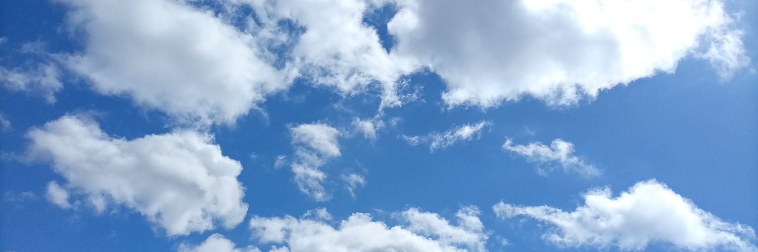 GuldalLeman's profile banner image