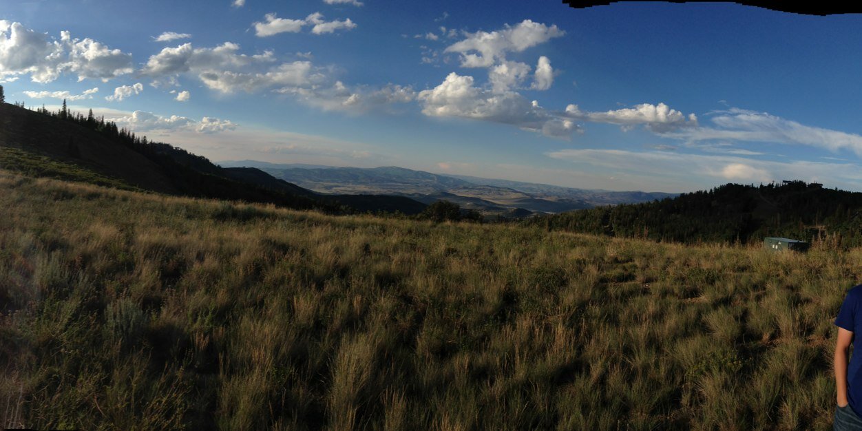 Tom Griffiths banner