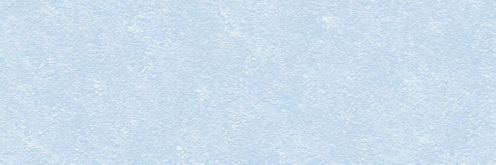 ﾘｭｶ banner