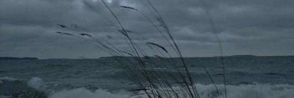 liminaldrm Profile Banner