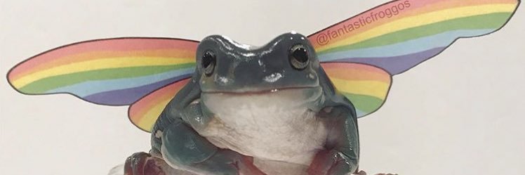 frogfairymakes's profile banner image