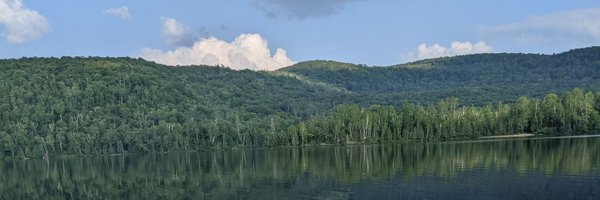 TonyBusiness2 Profile Banner