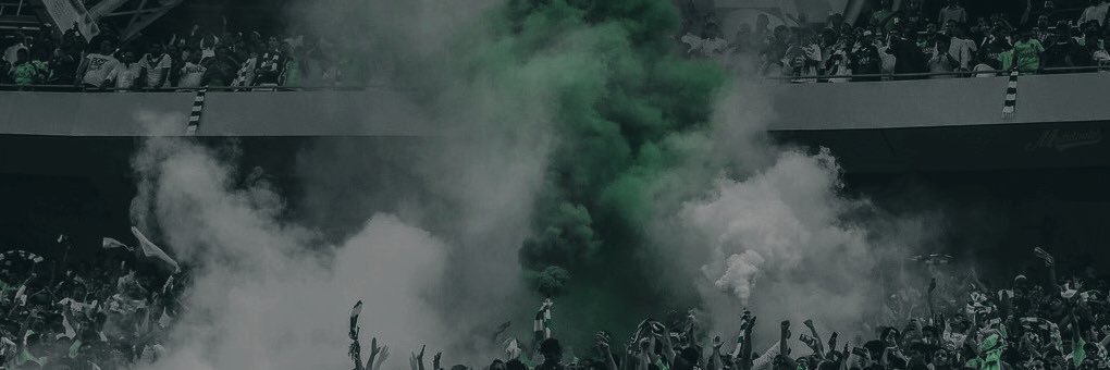 badfox787's profile banner image