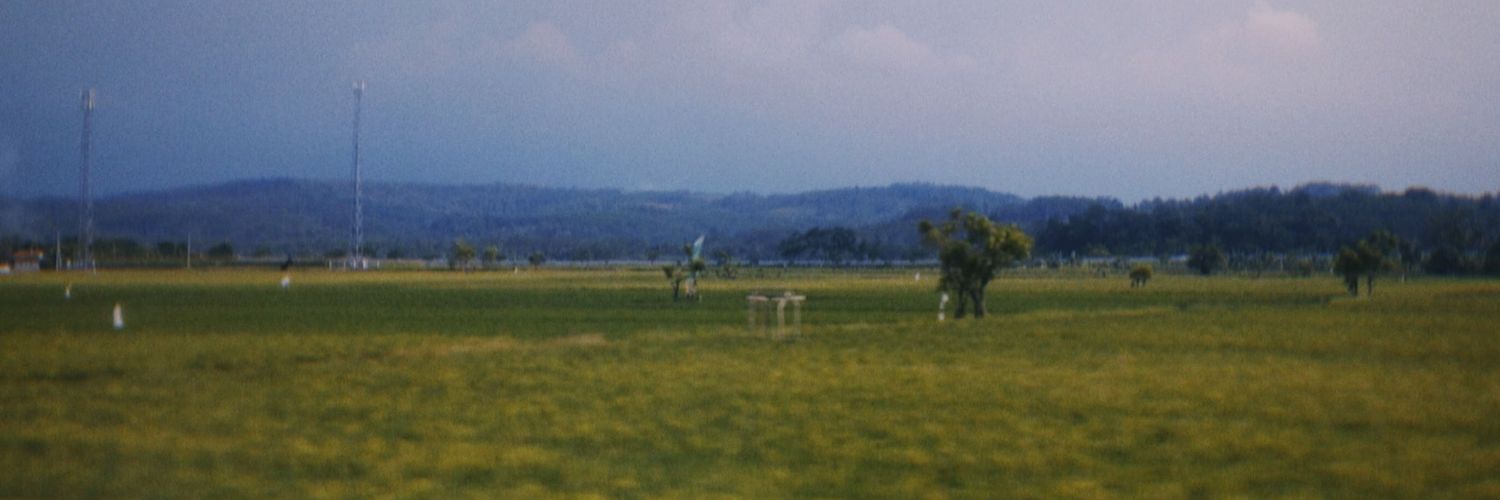 AloinaS's profile banner image
