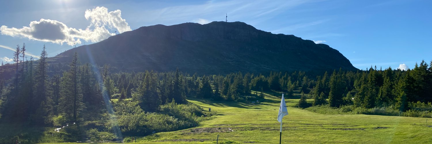 Bjørn Faarlund banner