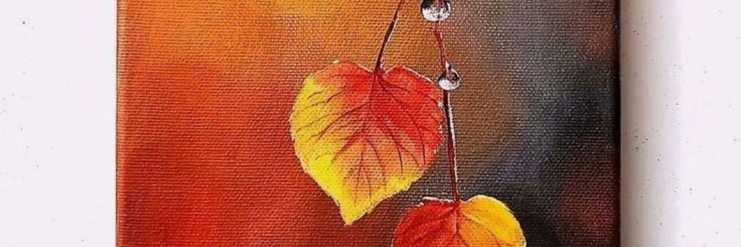 LeiliMpl's profile banner image