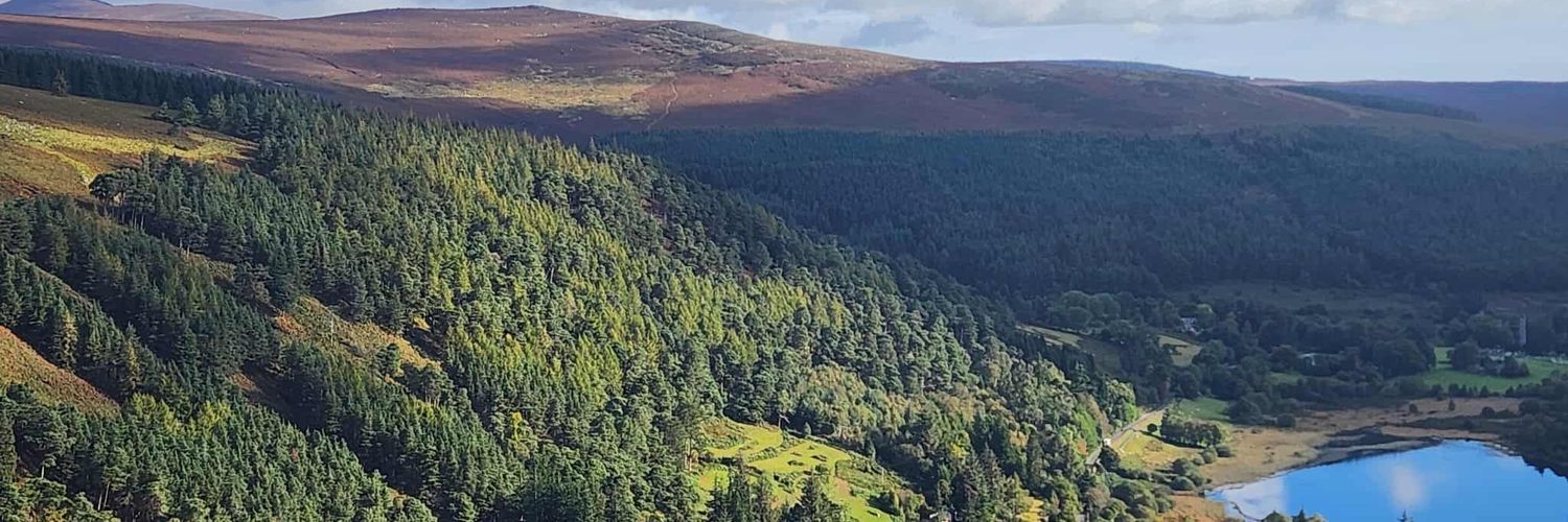 𝑻𝒚𝒍𝒆𝒓 𝑰𝒓𝒆𝒍𝒂𝒏𝒅 🍀 banner