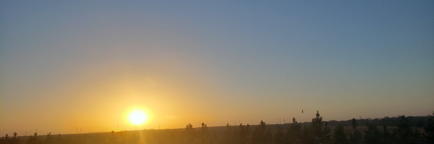 zalatorg's profile banner image