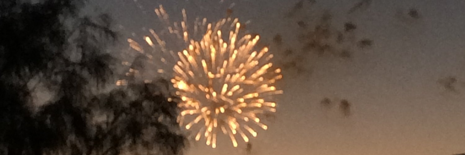 adamrogas's profile banner image