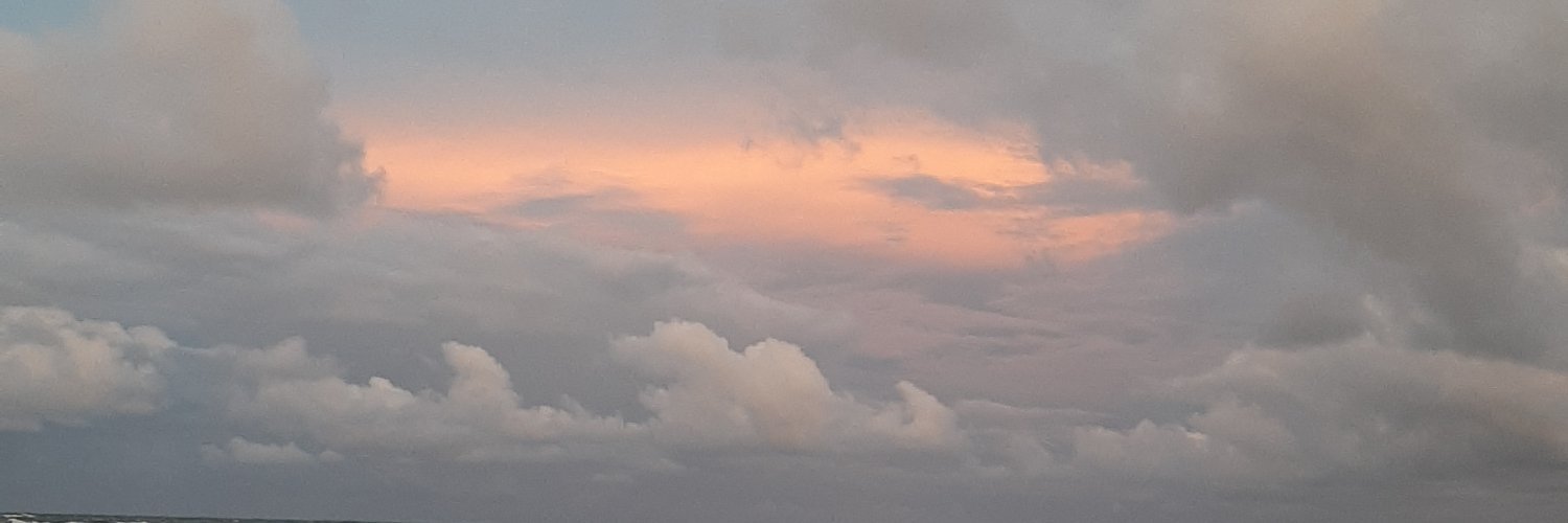 jomvdl's profile banner image