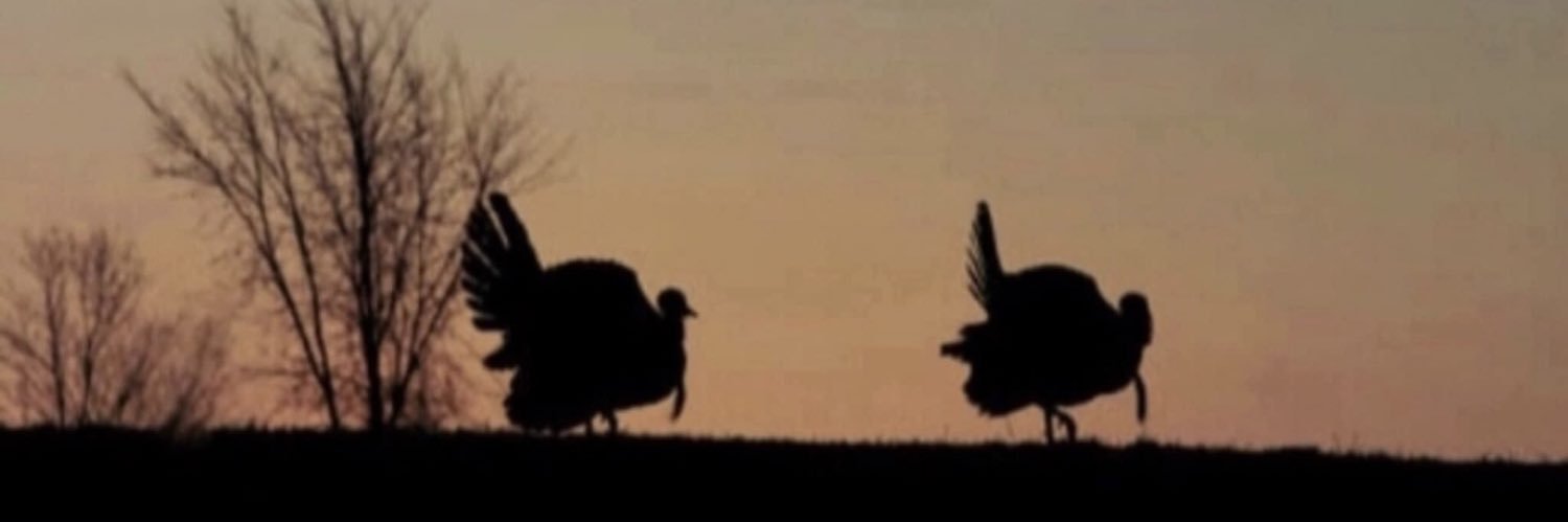 shafermckune's profile banner image