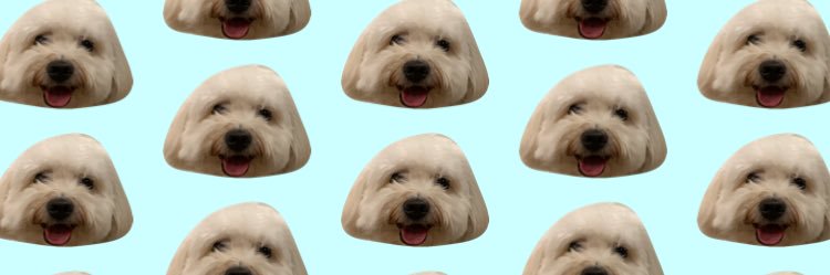 mariakaraaa's profile banner image