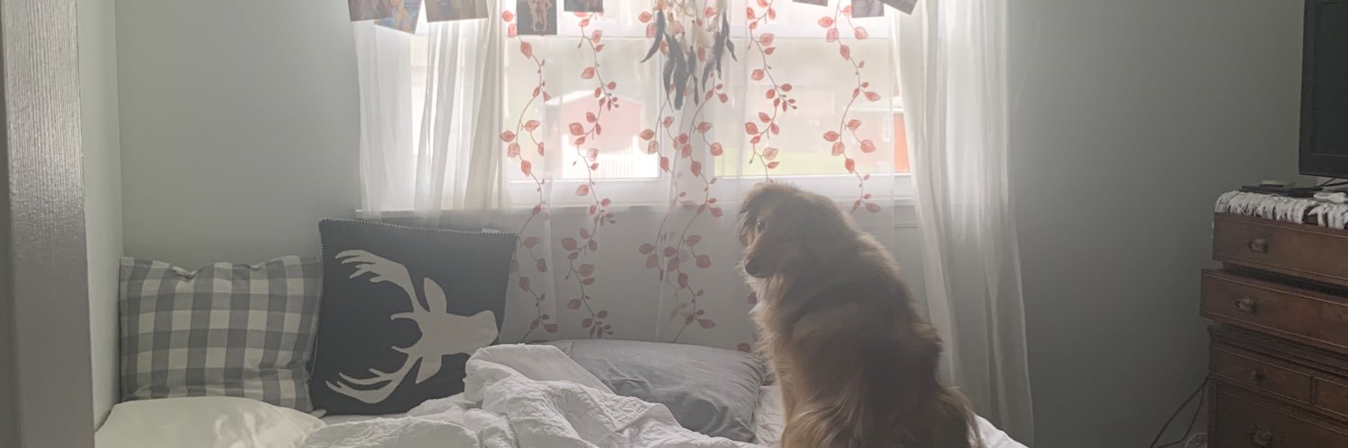 lily__silly's profile banner image