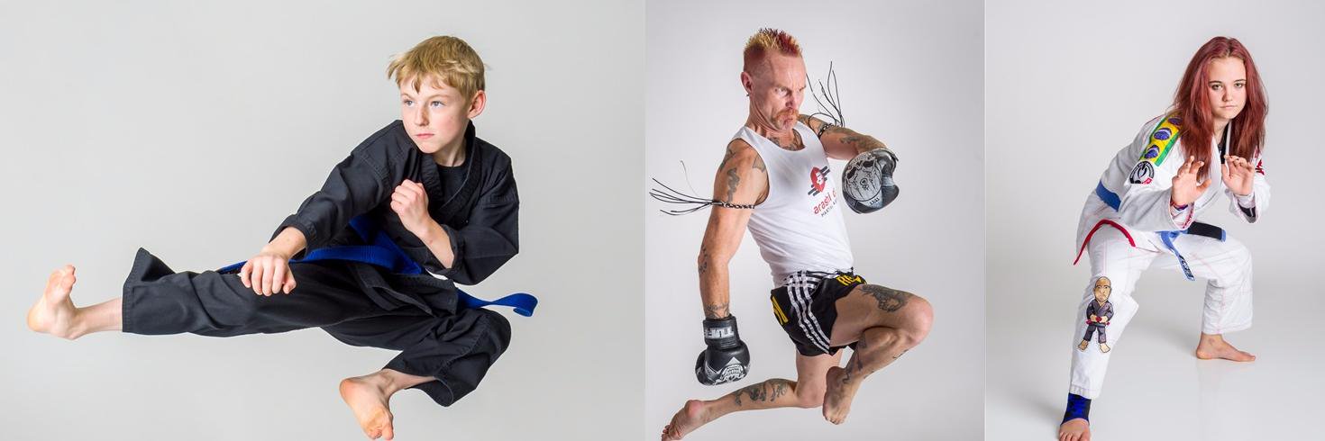 Arashi-DoMartialArts banner