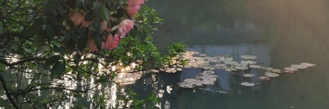婵 banner