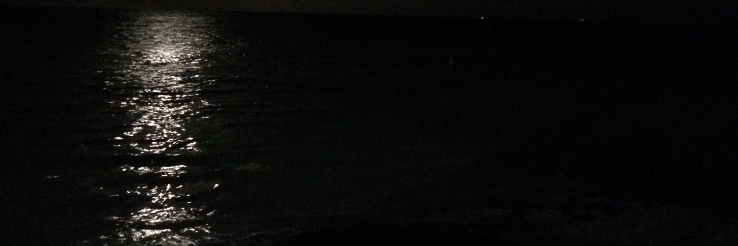 flac10's profile banner image