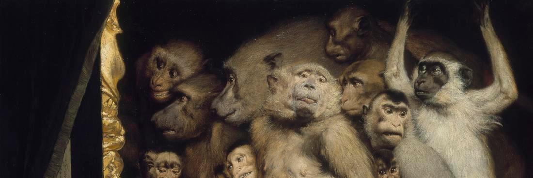 monkeythmonk's profile banner image