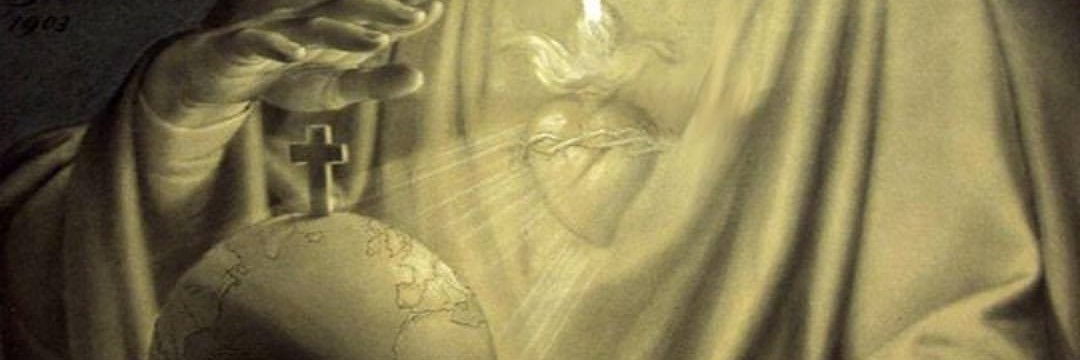 buchszerroseli's profile banner image