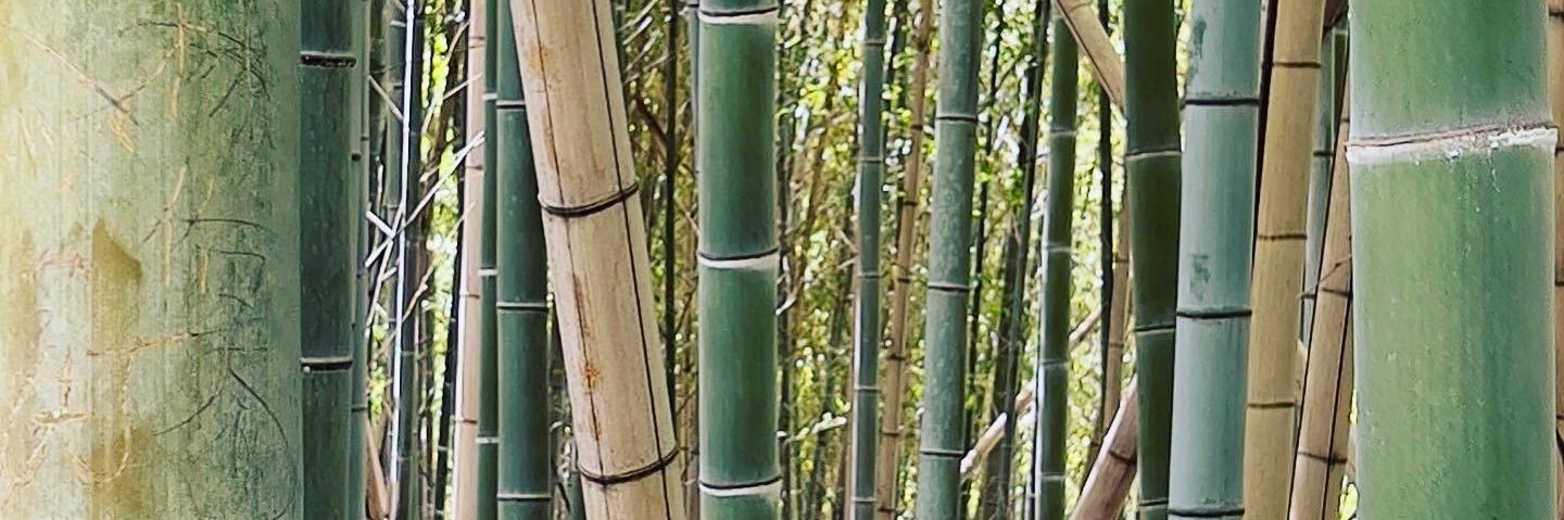 ICUInsights's profile banner image