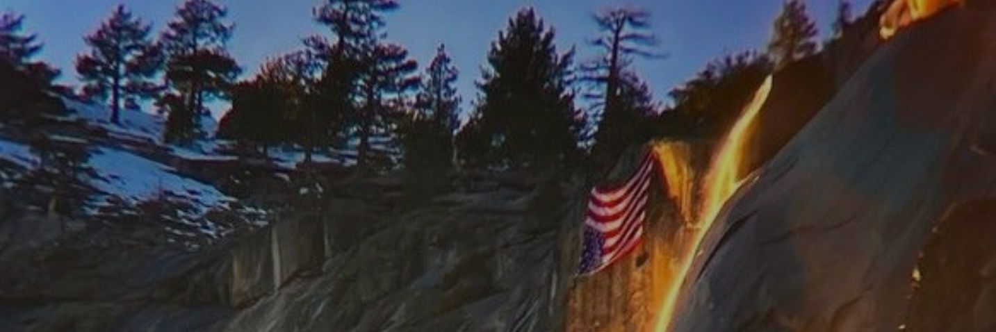 Lee banner