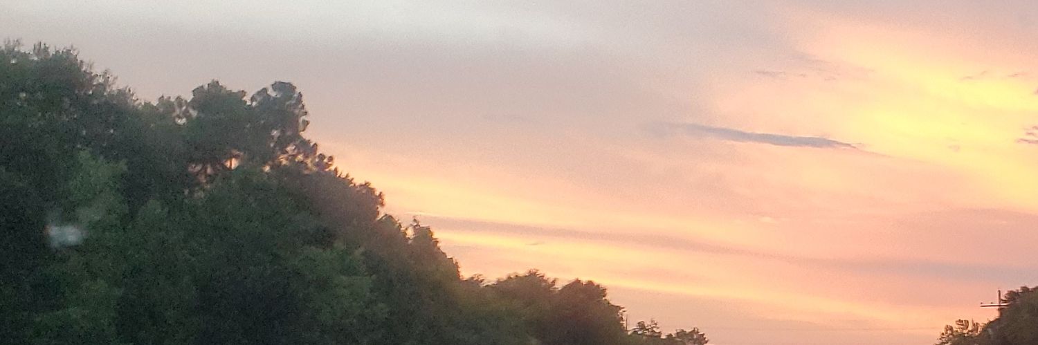 Lepp2z's profile banner image